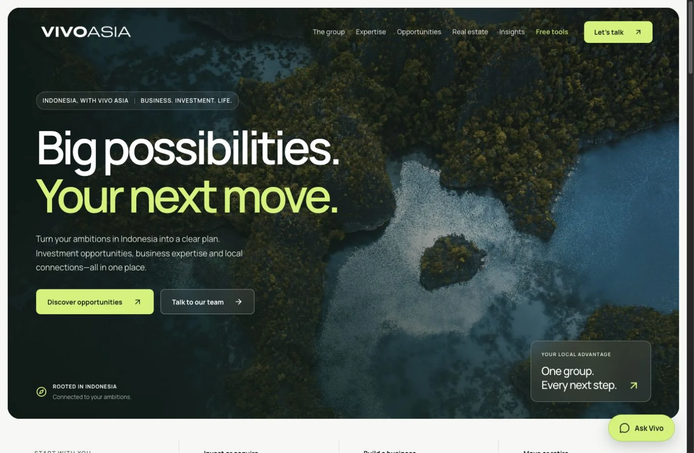 Vivo Asia Group — actual desktop website preview